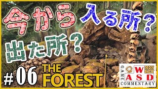 【The Forest】アイテムを求めるも、洞窟多くて探索済みか分からない件 #6「実況」