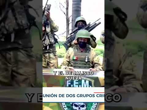 Dos Carteles Mexicanos quieren unir fuerzas para convertirse en una superpotencia | Noticias ETV