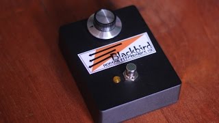 Video thumbnail for Hudson Electronics Blackbird octave fuzz by Iga Massardi