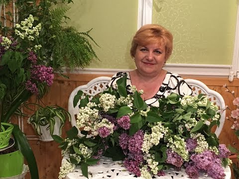 Для суставов ортезы и бандажи отзывы Мази для лечения болей в коленном суставе