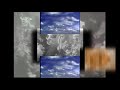 YTPMV Bezt Ytp Scan