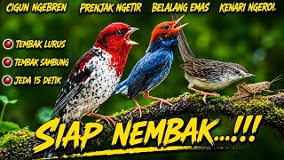 Download lagu MASTERAN KOMBINASI PALING BERBAHAYA : CIBLEK GUNUNG   PRENJAK NGETIR   BELALANG EMAS   KENARI NGEROL mp3