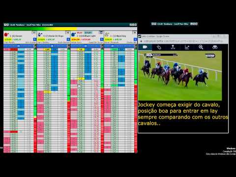 Trade em Corrida de Cavalos (FLAT)