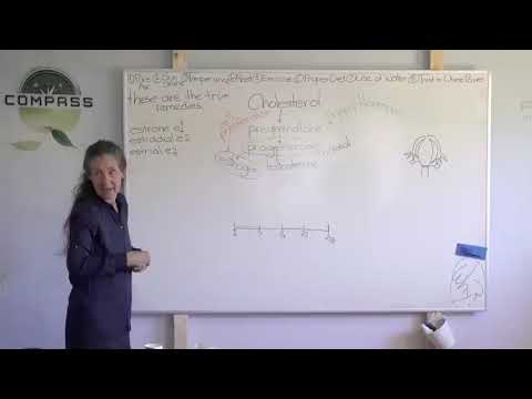 How to Balance Male and Female Hormones - Barbara O'Neill