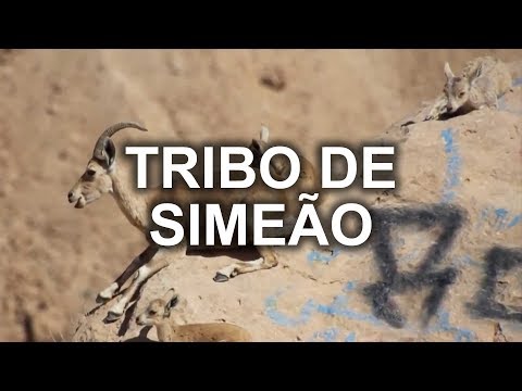 PROGRAMA A BIBLIA VIVA   CRATERA DE RAMON, NOS PASSOS DA TRIBO DE SIMEÃO