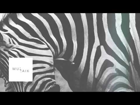 Muzaikfm 021 - radio live set I FAIDEL