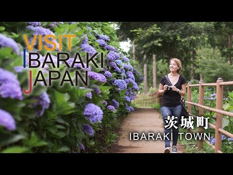 -IBARAKI TOWN- VISIT IBARAKI,JAPAN GUIDE
