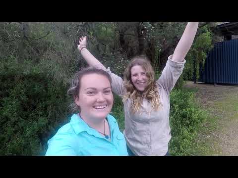 Great Ocean Walk -  Cape Otway to Aire River