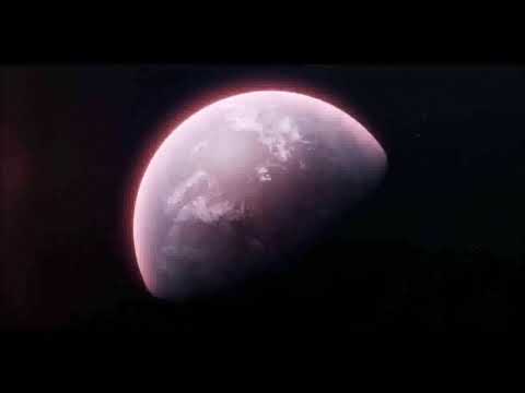 Allies For Everyone - It Takes All Kinds (Lyric video)