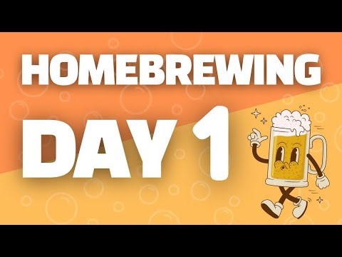 Beginner Homebrewing Advice: What I Wish I Knew on Day 1