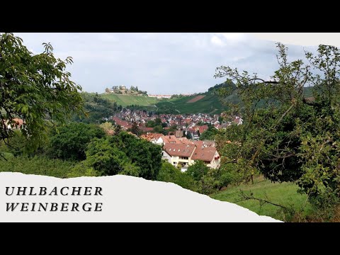 Spaziergang durch die Weinberge in Stuttgart Uhlbach