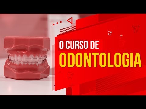 WHAT IS THE DENTISTRY COURSE LIKE? | Career path