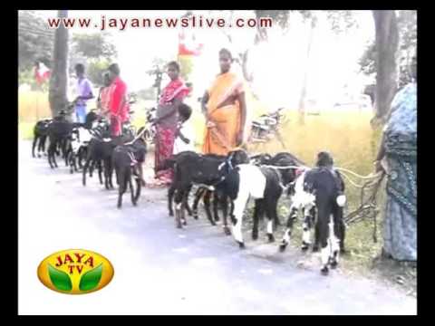 முதலமைச்சர் ஜெயலலிதா செயல்படுத்தி வரும் திட்டத்திற்கு பயனடைந்தவர்கள் நெஞ்சார்ந்த நன்றி 18 03 2016