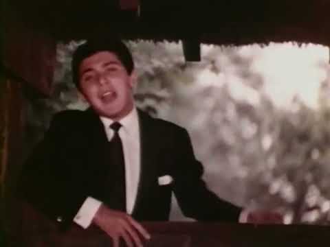 Paul Anka - Remember Diana (1960s)