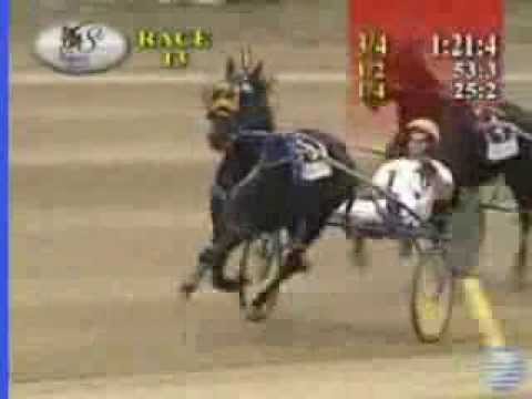 Little Brown Jug 2013 Elim 1 Vegas Vacation ( # 5)