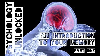 An Introduction to your Memory Lecture (Part One)