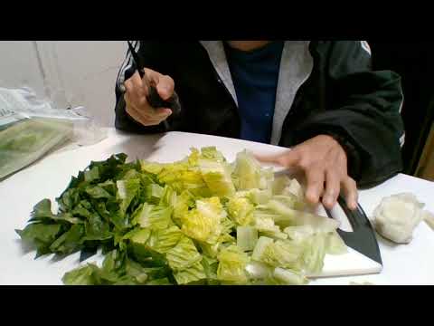 How To Cut Romaine Lettuce Fast and Easy at Home | How To Vlog Oct 19, 2021 Vegetable Quick Tip