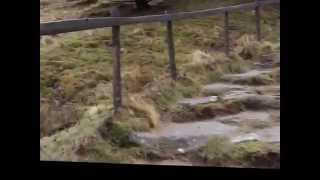 Bhav's Big Day Out - Kinder Scout via Edale and Jacob's Ladder