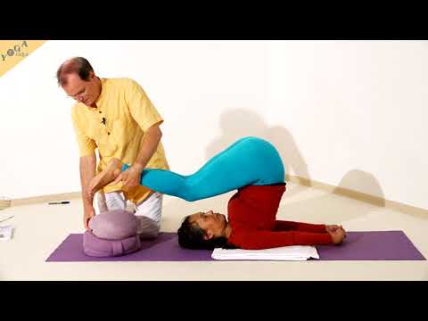 Pflug mit Decke unter den Schultern - Yoga Asana Lexikon