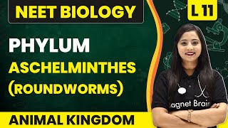 Phylum - Aschelminthes (Roundworms) | Animal Kingdom - L11 | NEET Biology
