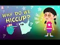 Why Do We Hiccup The Dr Binocs Show BEST LEARNING VIDEOS For Kids Peekaboo Kidz