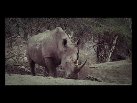 Nature meh bhi rupali