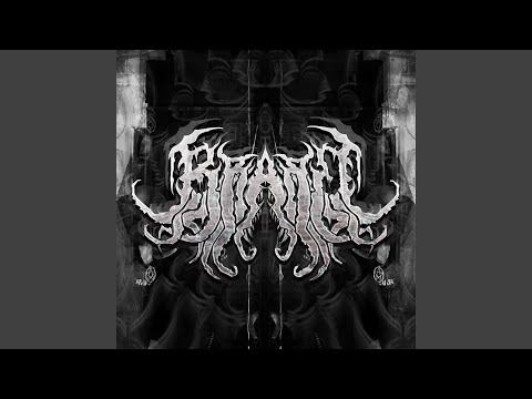 A Dense And Flat NighT