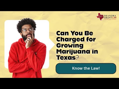 Can You Be Charged for Growing Marijuana in Texas? Know the Law!