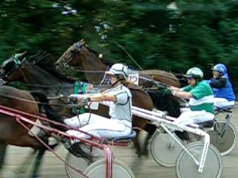 Trabrennen Baden 09. Aug. 2009 Lauf 8