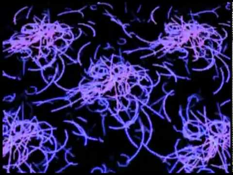 Orbit1 & Milo - Anti-Matter