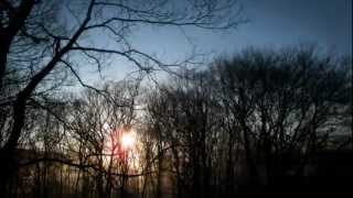 Miss You - Trentemøller