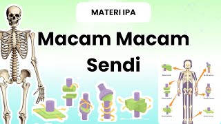 Download lagu Macam Macam Sendi | Sendi Mati | Sendi Kaku|Sendi Gerak|Sendi Engsel| Sendi Peluru |Sendi Gulung mp3