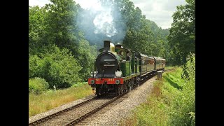 preview picture of video 'Bluebell Railway SECR Mini Gala Saturday 28th July 2012'