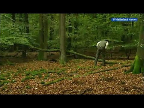 GLD Nieuws 17 oktober 2012 - Nieuws