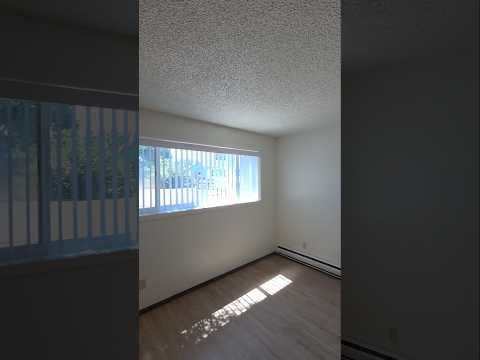 STO1411 - Video 2 of 2