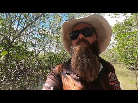 Chasing Mudcrabs in The DEEP Mangrove Forest.  PART 1