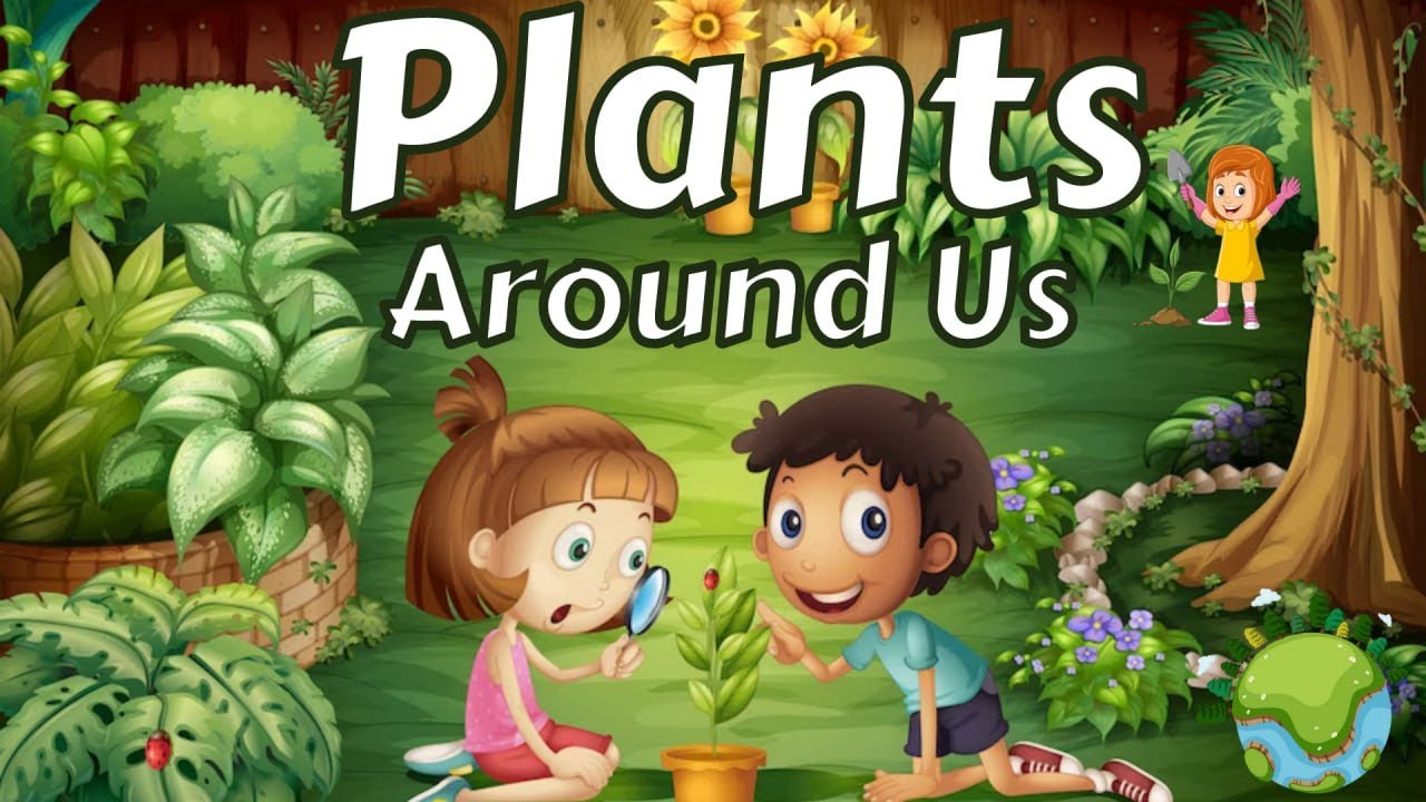 Plants Around Us | Different types of Plants and Trees for kids | Hindi & English |Class-1,Chapter-1