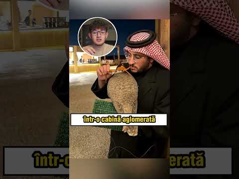 Soimii care ZBOARA cu AVIONUL (Alex Hada Reacts) #shorts