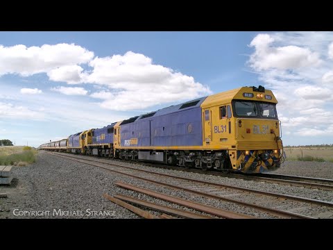 7731V Pacific National Grain Train With BL31,X50 & G527 Arrives At Gheringhap (7/11/2024)- PoathTV