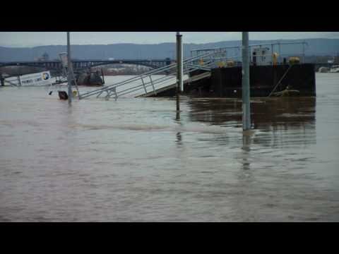 Hochwasser Mainz 14.1.2011 6,10 Meter