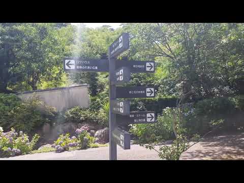 ¡Visité el "Jardín Botánico Urbano de la ciudad de Kasugai" cerca de mi casa!