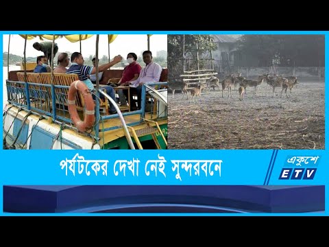 ভরা মৌসুমেও পর্যটকের দেখা নেই সুন্দরবনে