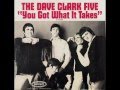 The Dave Clark Five - You Got What It Takes 