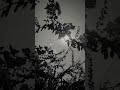 KYA KHUB LAGTI HO BADI SUNDAR DIKHTI HO Aesthetic Foryou Aesthetic Status Hindi Songs