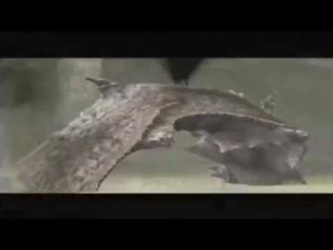 Shadow of the Colossus - PS2 Time attack world records