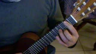 Cover Guitare - Frere et soeur - Le soldat rose