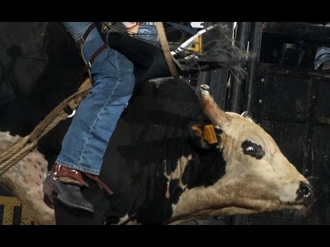 WRECK: Brendon Clark thrown from Jungle Cat