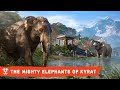 Far Cry 4 Trailer The Mighty Elephants Of Kyrat
