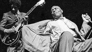 Hubert Sumlin      ~     ''When You're In Love''  1997