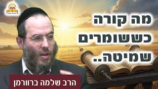 אמונה מעל לכל דמיון: מה קורה כששומרים שמיטה? הרב שלמה ברוורמן
